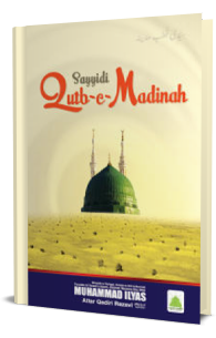 Sayyidi Qutb-e-Madinah