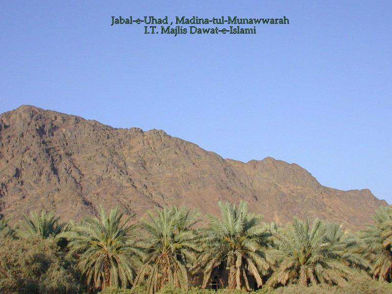 Jabal Uhud, Madina 49