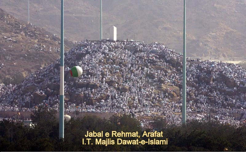 Jabal e Rahmat, Arafaat, Hajj 4