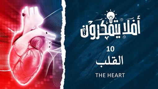 القلب - The Heart - برنامج أفلا يتفكرون