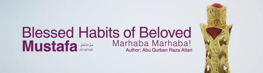 Blessed Habits of Beloved Mustafa صلی اللہ تعالی علیہ والہ وسلم