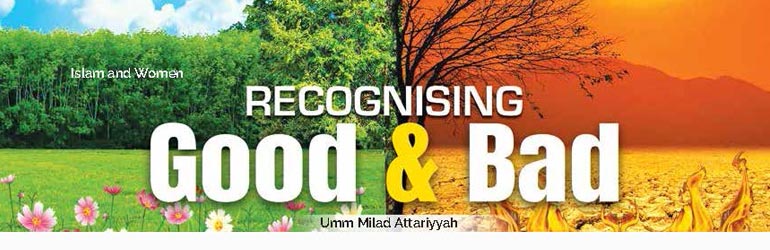 Recognising Good and Bad