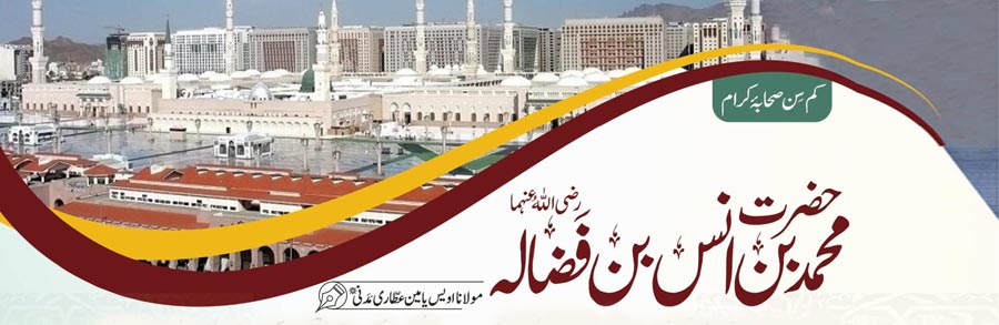 حضرت محمد بن انس بن فضالہ رضی اللہ عنہما