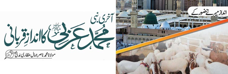 آخری نبی محمد عربی ﷺ کا اندازِ قربانی 