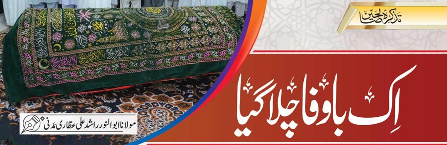 اِک باوفا چلا گیا