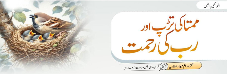 ممتا کی تڑپ اور رب کی رحمت