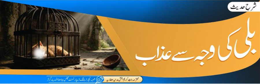 بلی کی وجہ سے عذاب