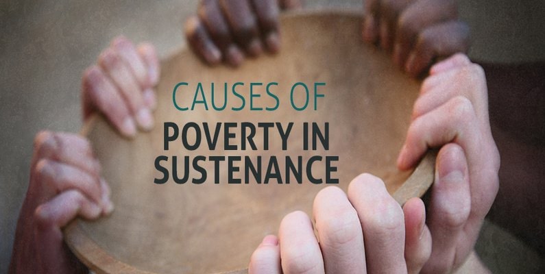 Causes Of Poverty In Sustenance