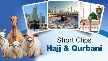 www.dawateislami.net