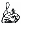 Text Box:  