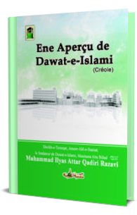 Ene Aperçu de Dawat-e-Islami