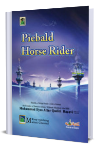 Piebald Horse Rider