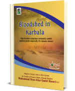Bloodshed in Karbala