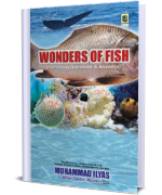 Wonders of Fish - Interesting Questions & Answers