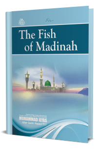 The Fish of Madinah