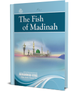 The Fish of Madinah