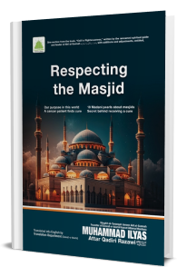 Respecting The Masjid