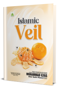 Islamic Veil