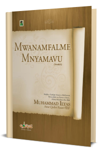 Mwanamfalme Mnyamavu