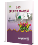 163 Lulu Za Madani