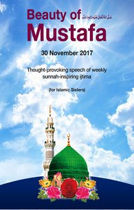 Beauty of Mustafa ﷺ