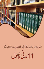 Al-Madina Library Baraye Tarbiyati Aetikaf kay 11 madani phool