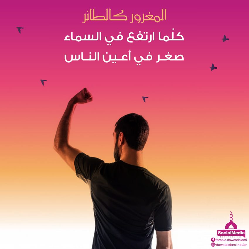 المغرور كالطائر