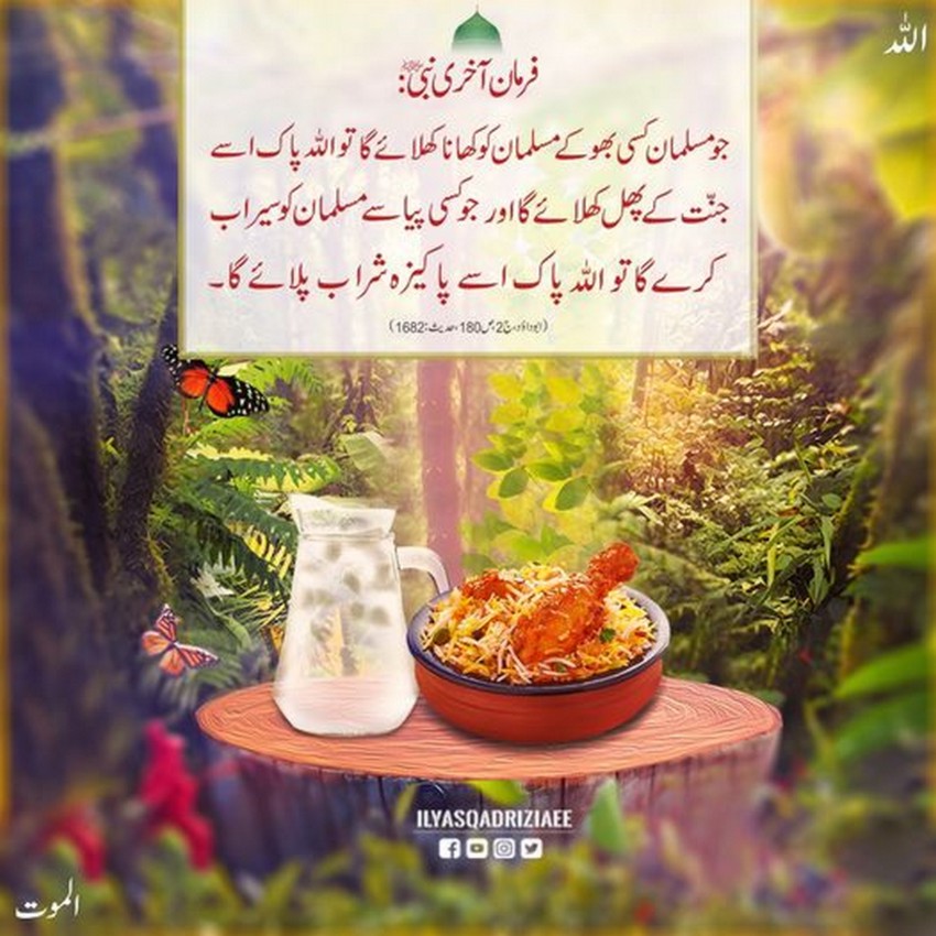 Bhookey Musalman Ko Khana Khilanay Ka Ajar