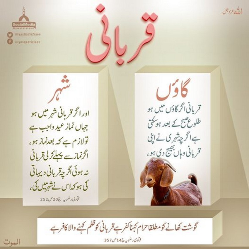 Qurbani
