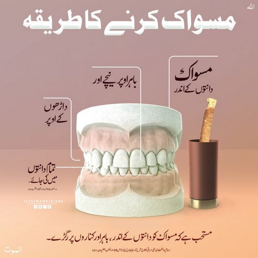 Miswak Karnay Ka Tariqa