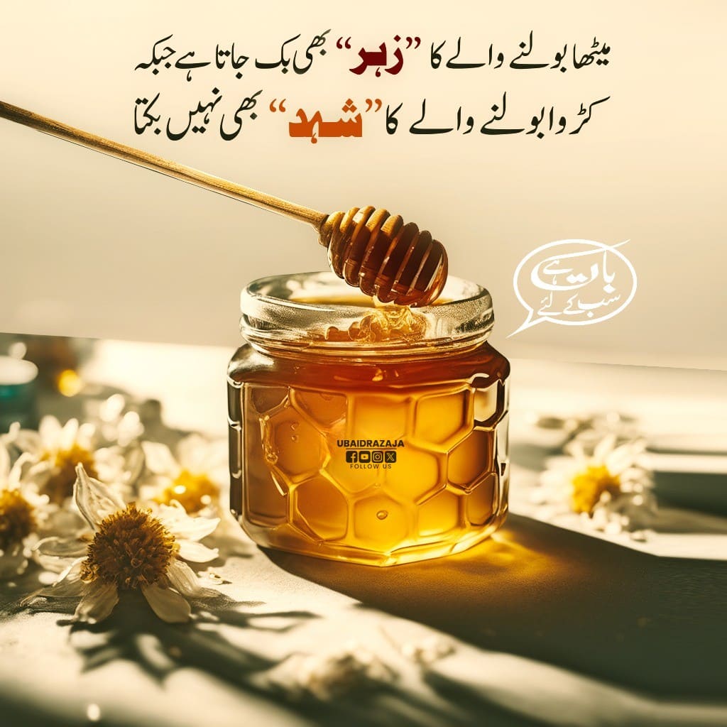 Meetha Bolna Seekhein