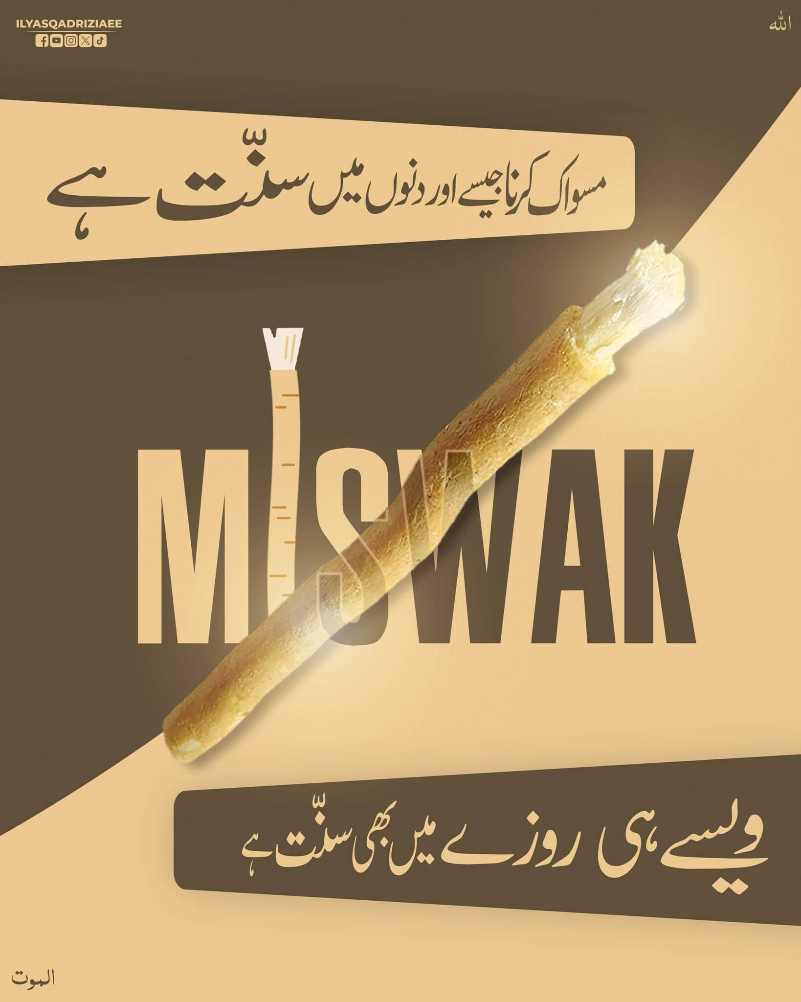 Rozay Mein Miswak Karne Ki Fazilat