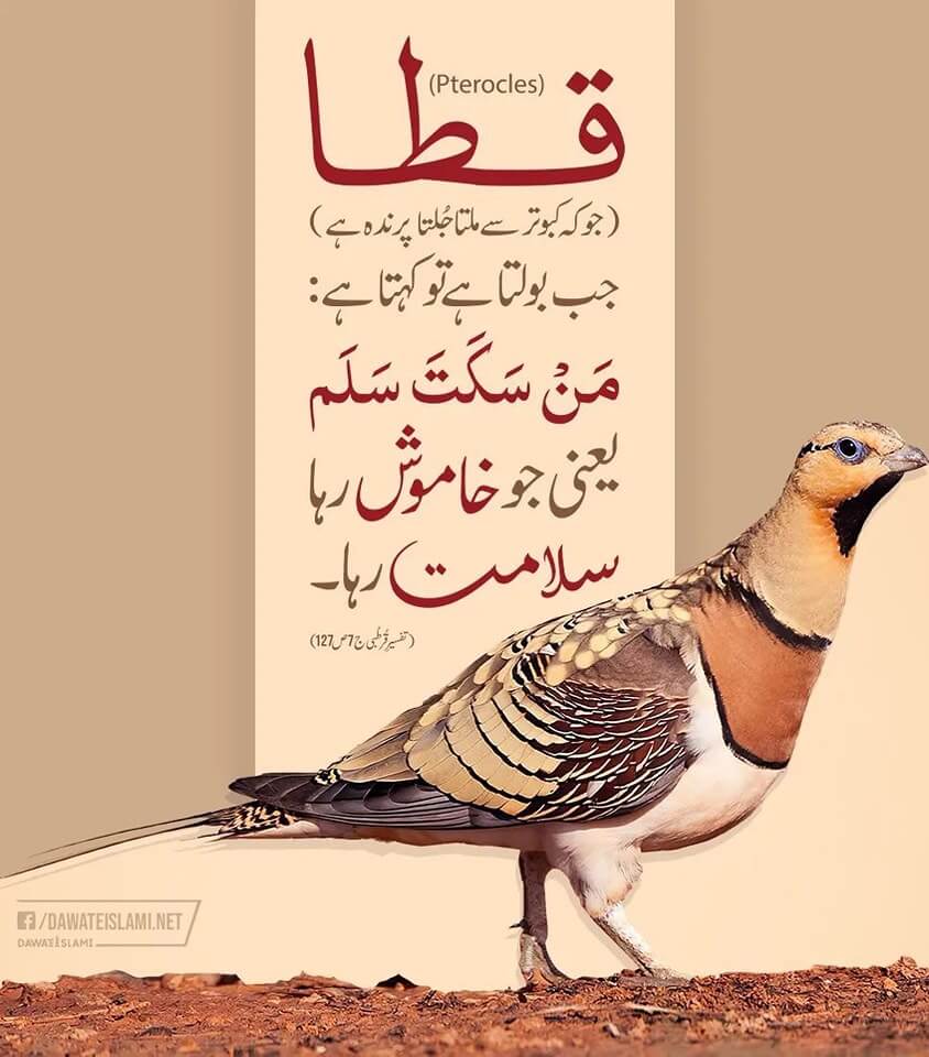 Khamoshi Mein Nijaat Hai