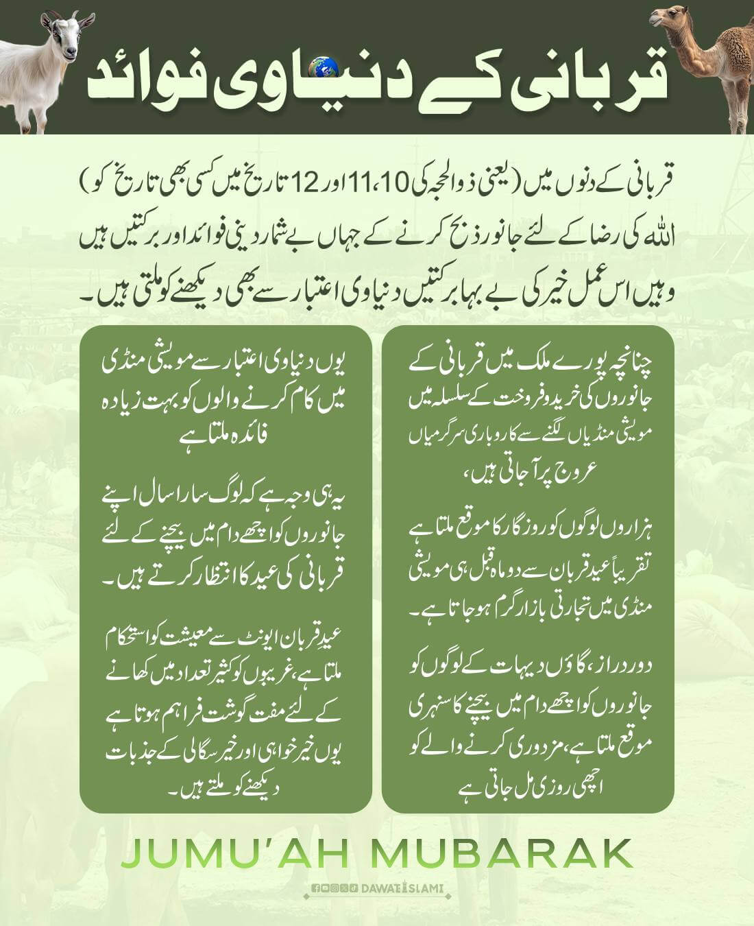 Qurbani Kay Dunyawi Fawaid