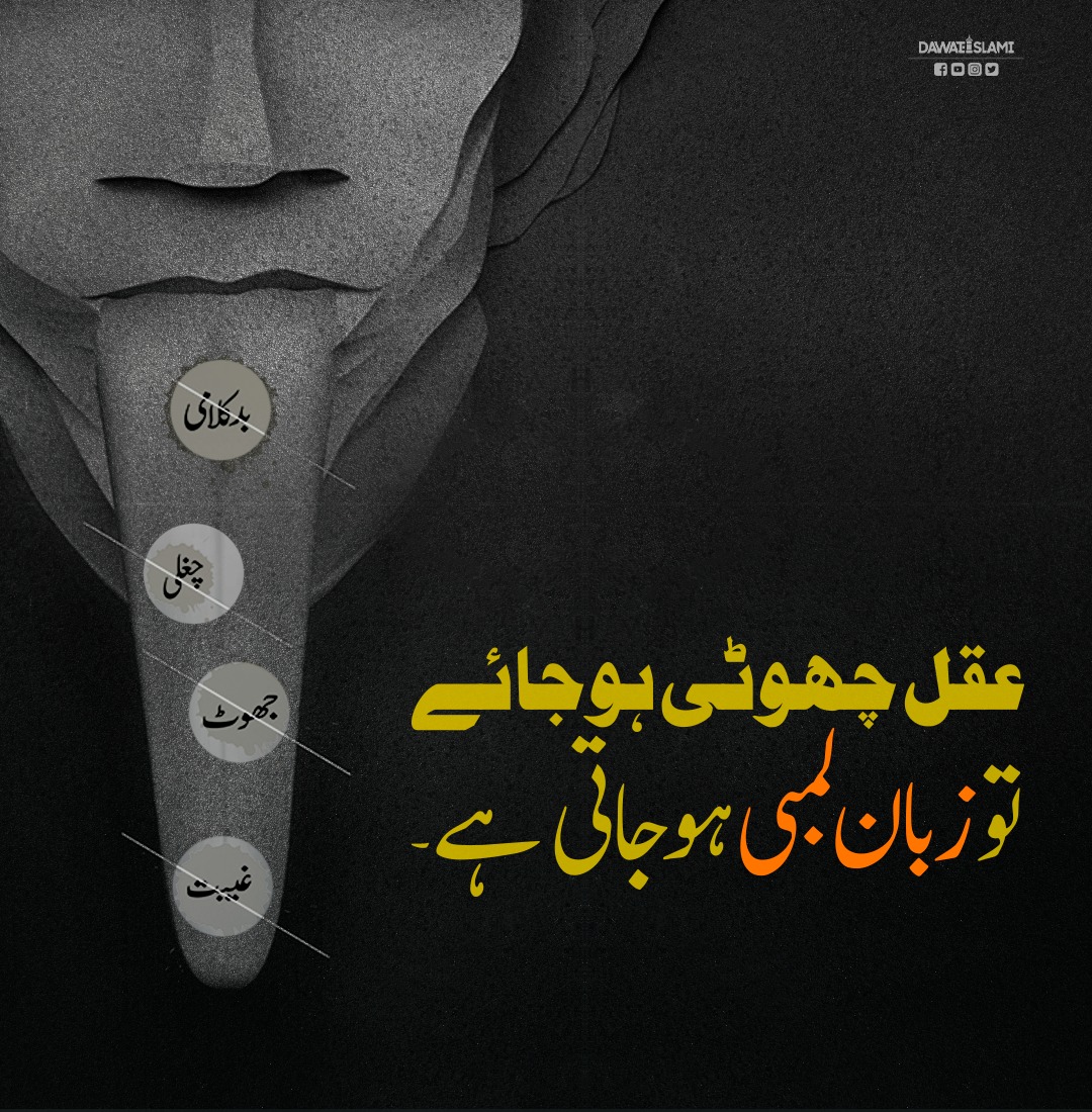 Aqal Choti Hojati Hai To Zaban Lambi Hojati Hai