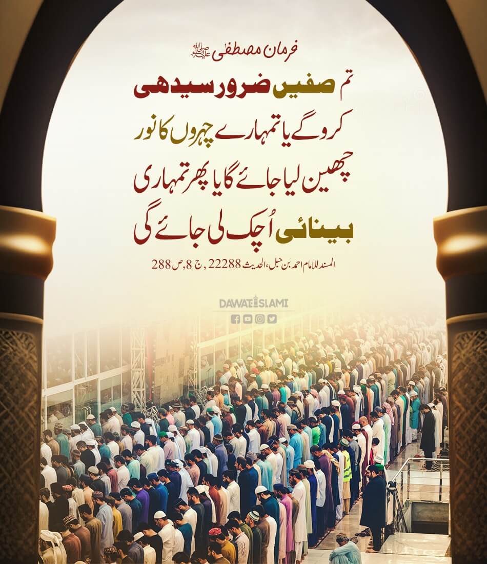 Safein Seedhi Karein