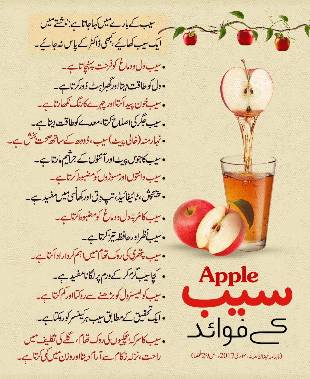 Saib Kay Fawaid