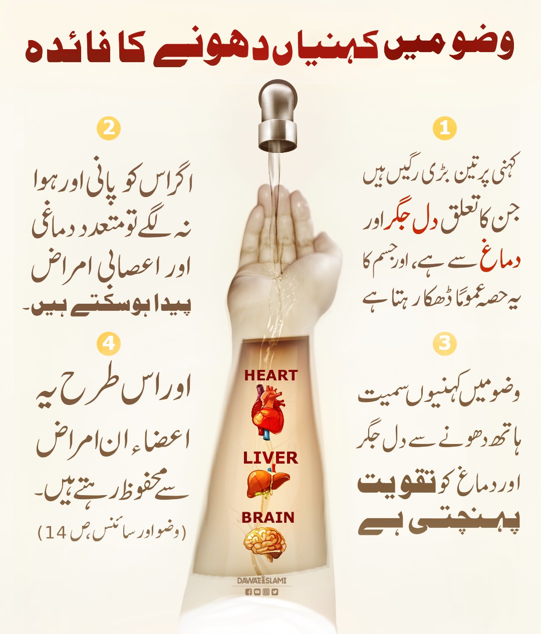 Wuzu Mein Kohni Dhonay Ka Faida