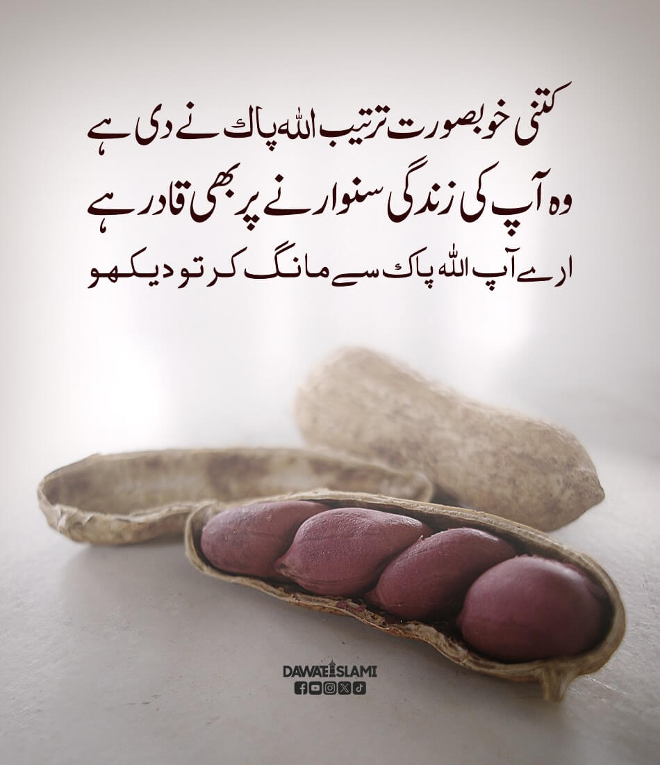 Khoobsurat Tarteeb