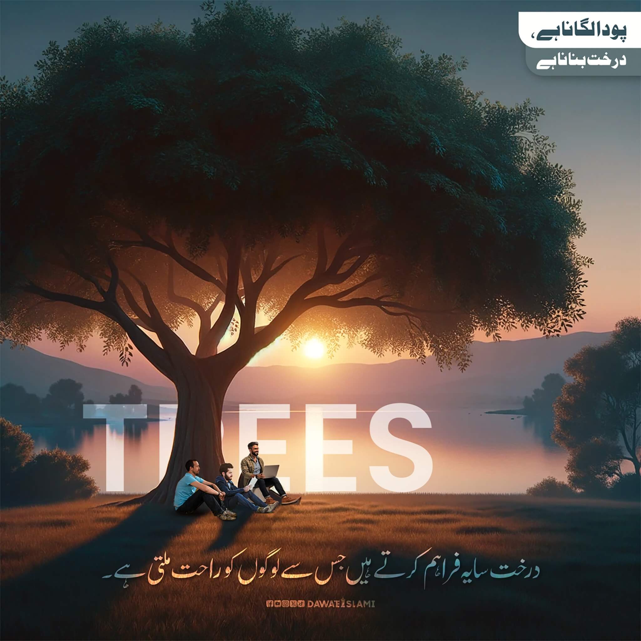 Darakht Saya Faraham Kartay Hain