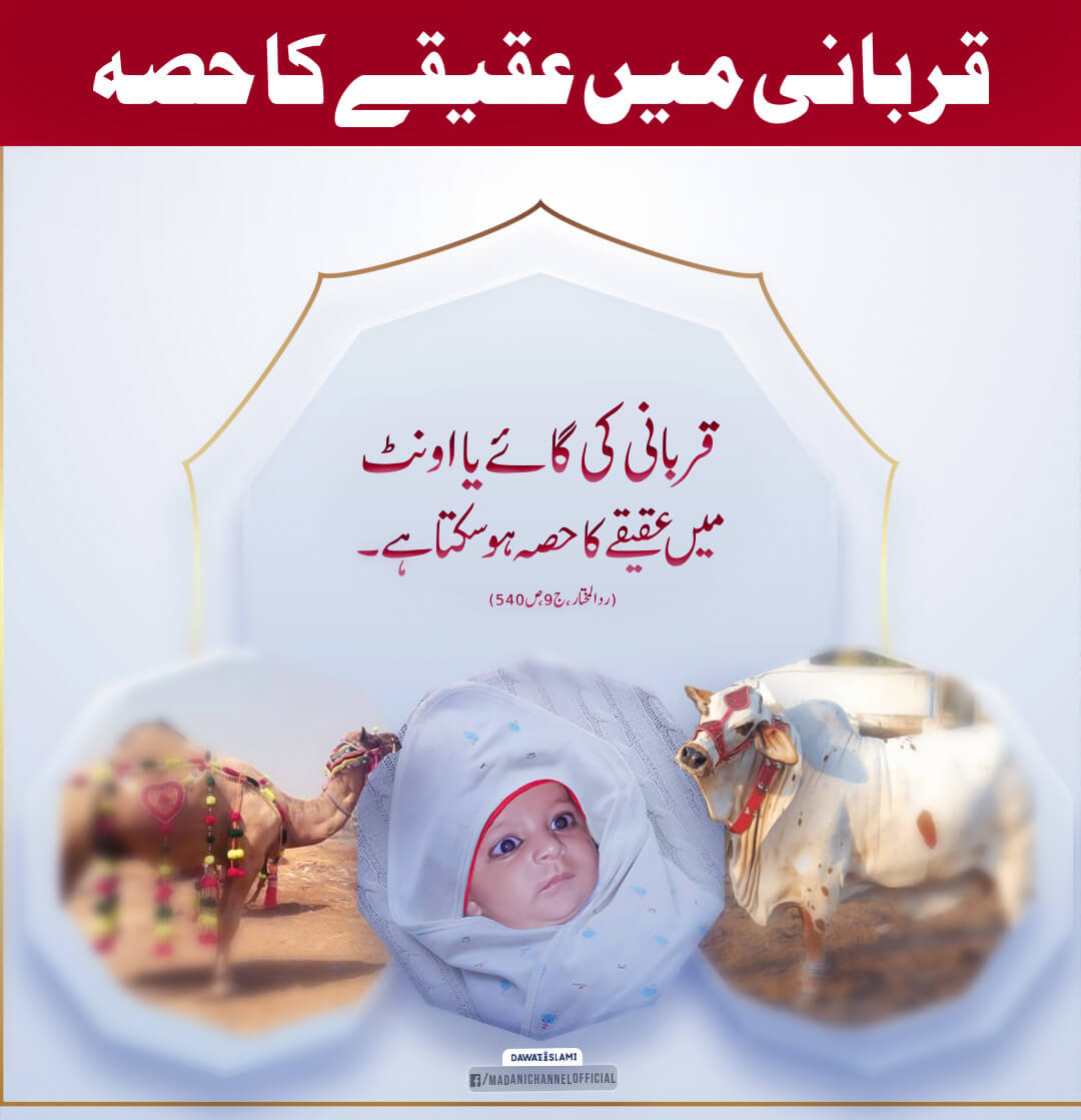 Qurbani Kay Janwar Mein Aqiqay Ka Hissa