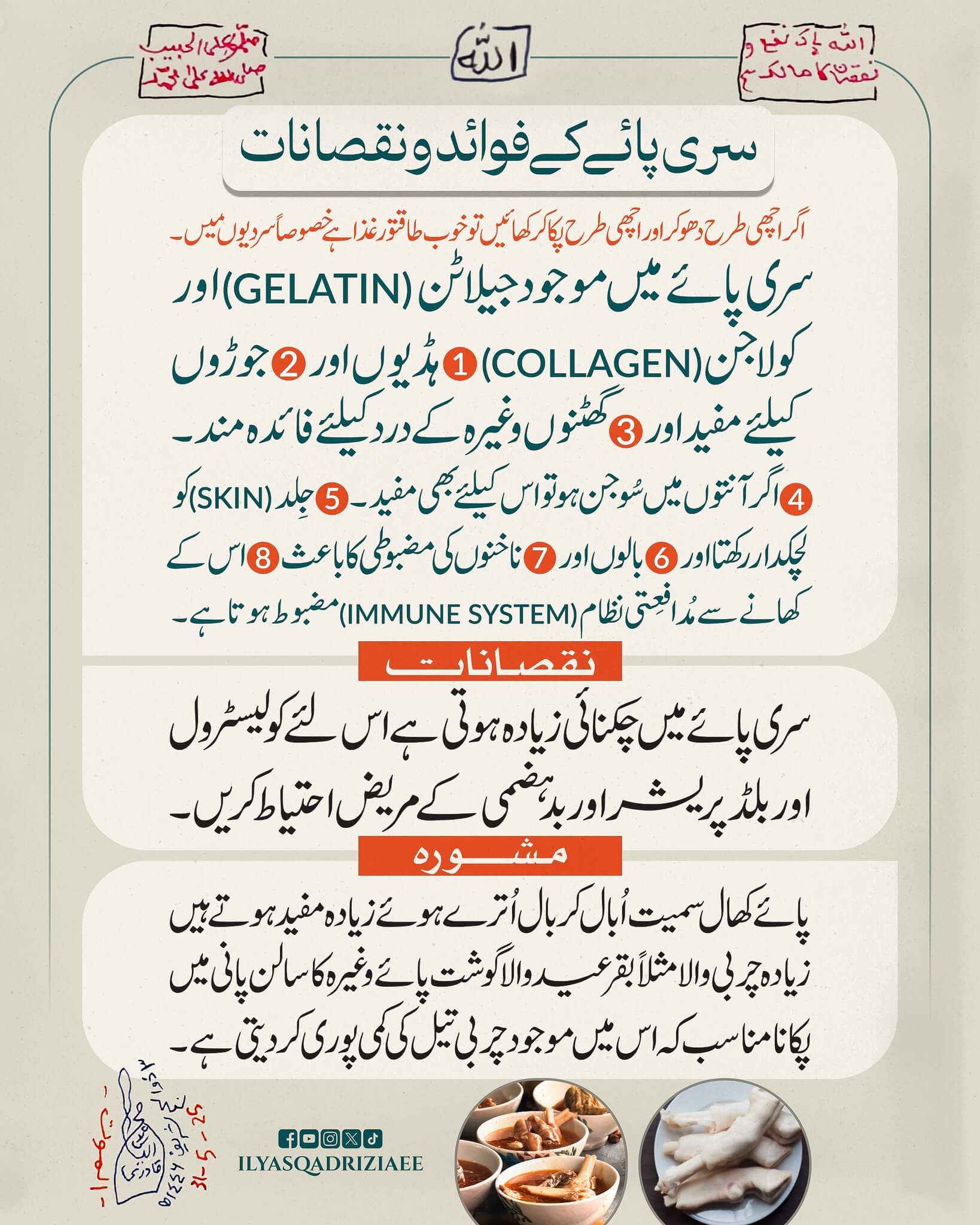Siri Paye Kay Fawaid o Nuqsanaat
