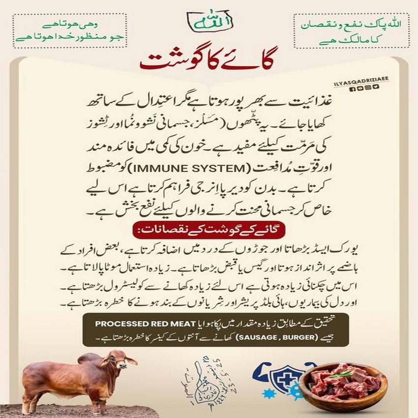 Gaye Ka Gosht