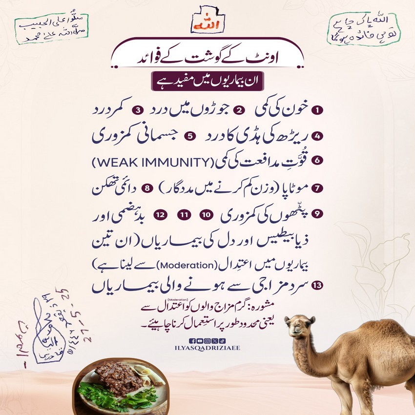 Oont Ke Gosht Ke Fawaid