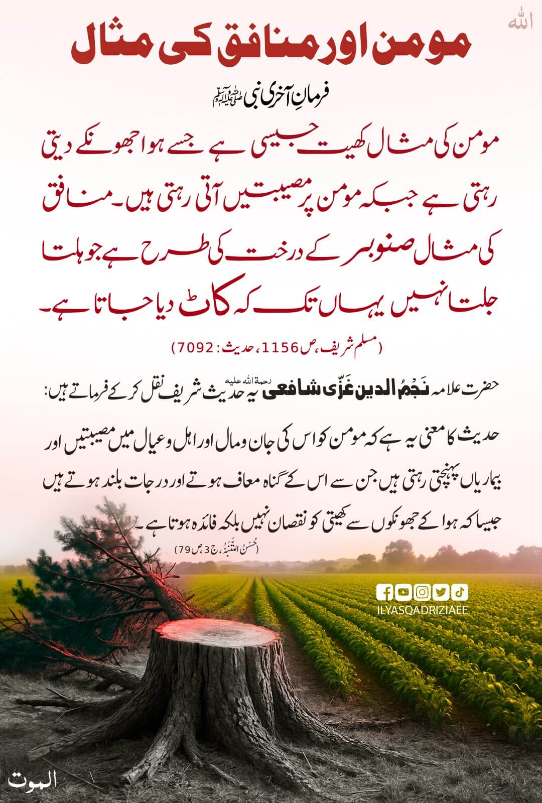 Momin Aur Munafiq Mein Farq
