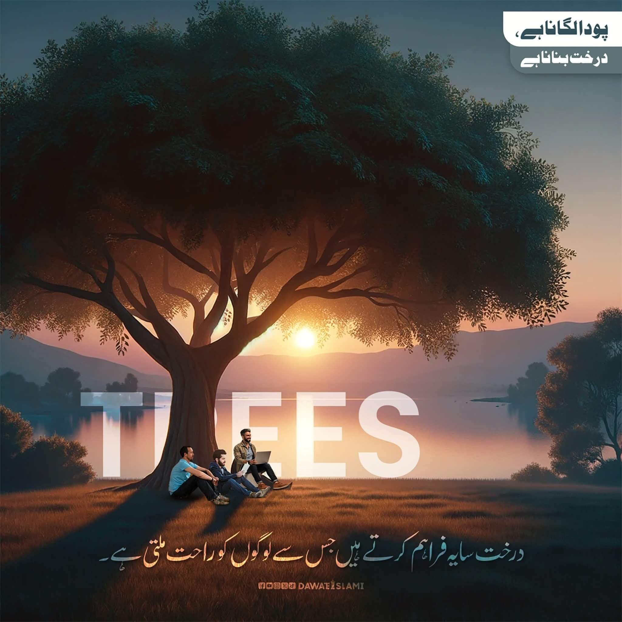 Darakht Saya Fraham Kartay Hain