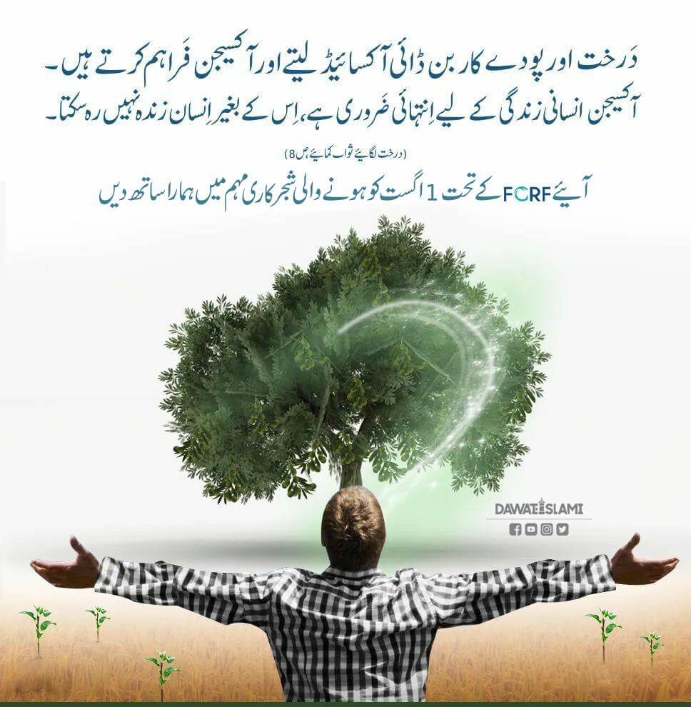 Darakht Insan Ki Zarorat Hai 