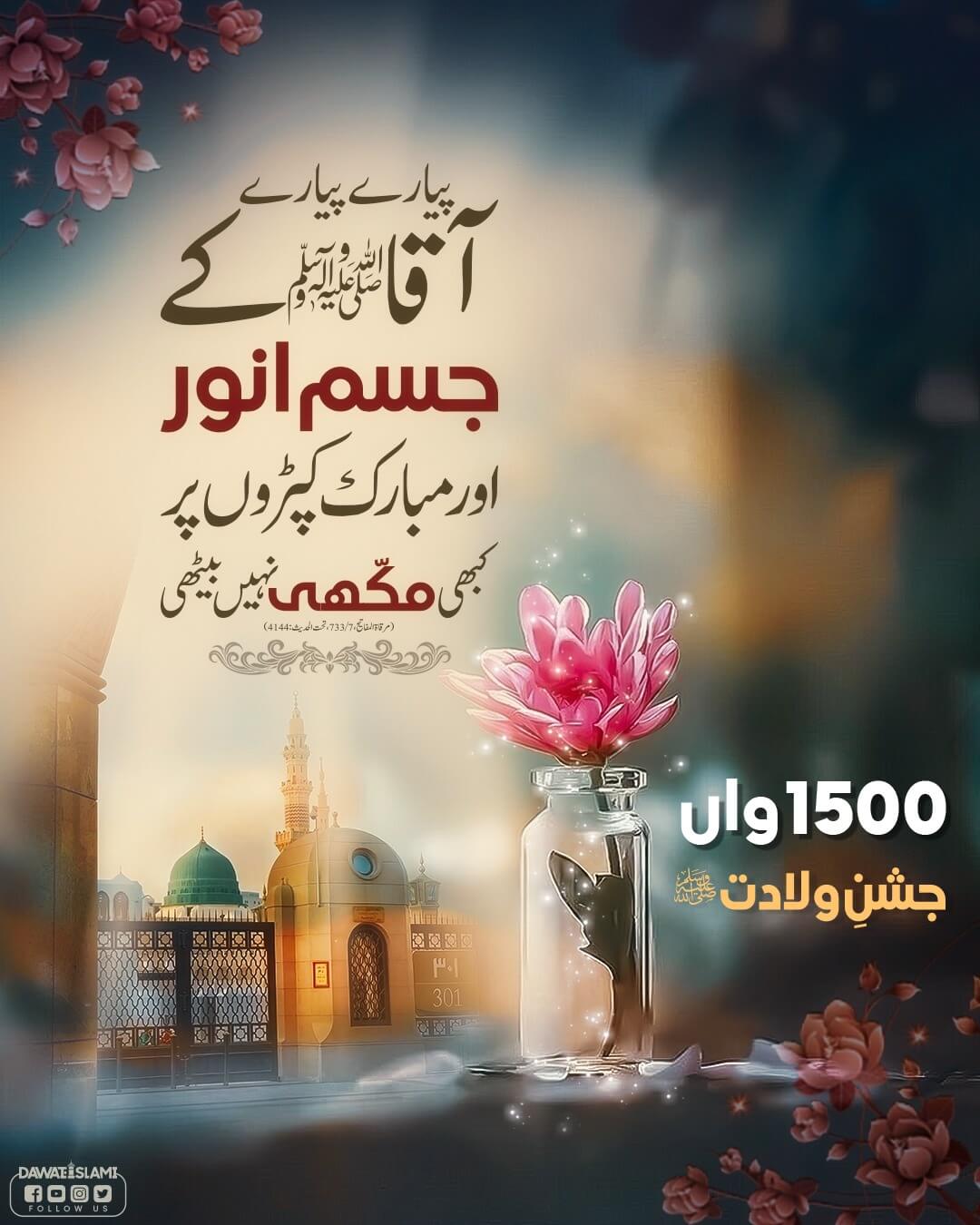 Huzoor صلی اللہ علیہ وآلہ وسلم Kay Jism e Mubarak Ka Kamal