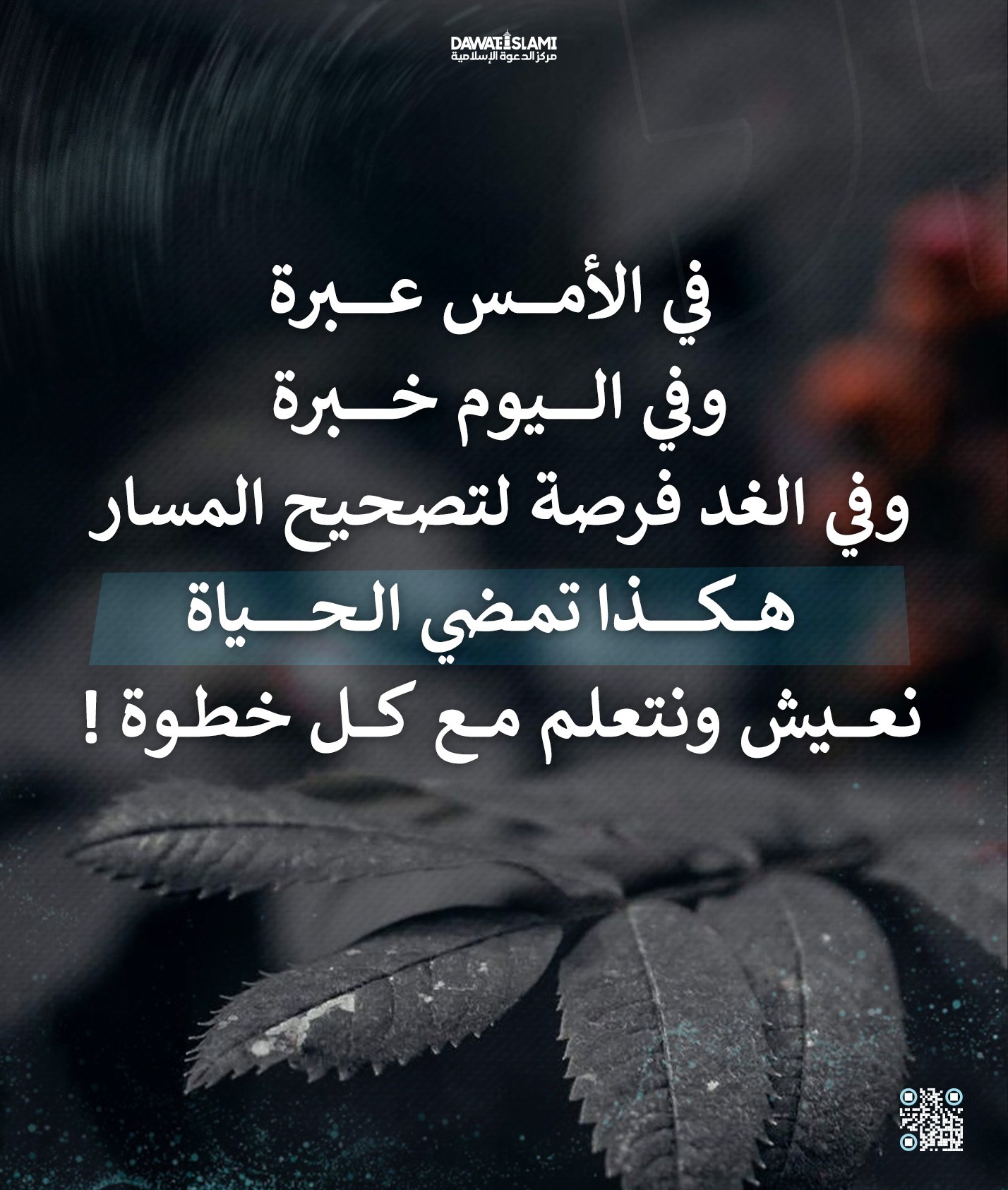 هكذا تمضي الحياة
