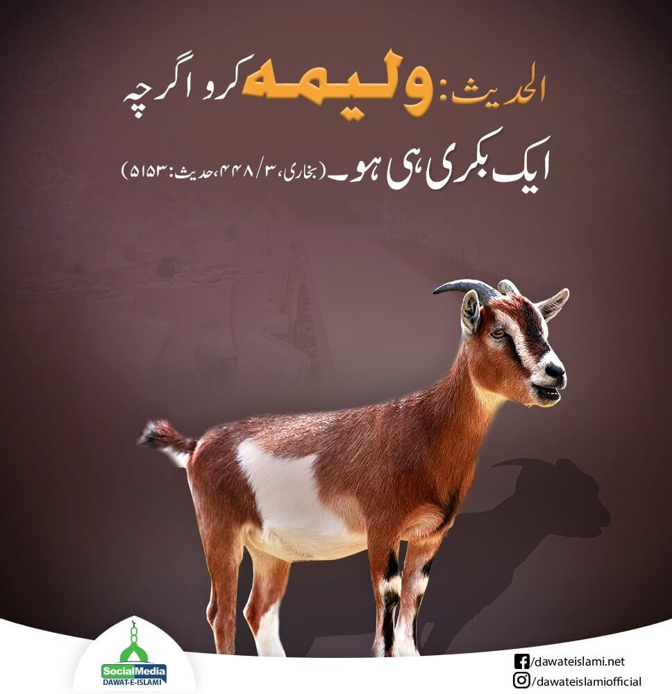 Walima Karo Agarche Aik Hi Bakri Ho